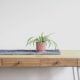 plant on top of beige wooden desk with 2-drawer chest